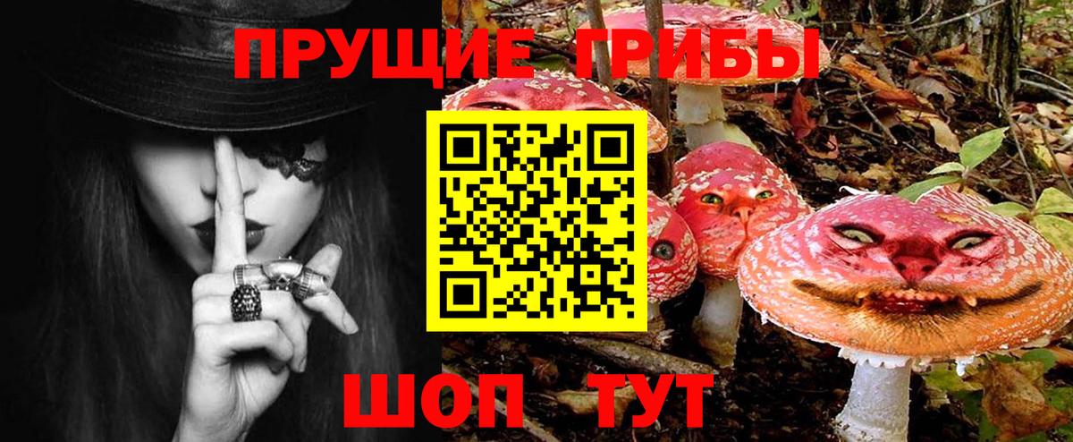 Псилоцибиновые грибы прущие грибы Усть-Джегута